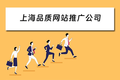 上海品质网站推广公司 