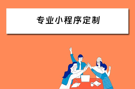 专业小程序定制 专业小程序定制公司
