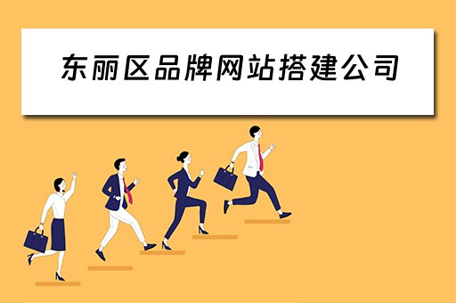 东丽区品牌网站搭建公司 东丽区品牌网站搭建公司有哪些