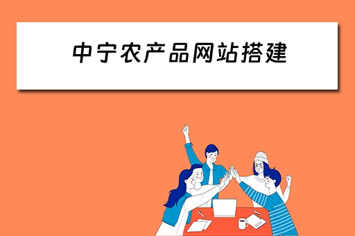 中宁农产品网站搭建 中宁农资城