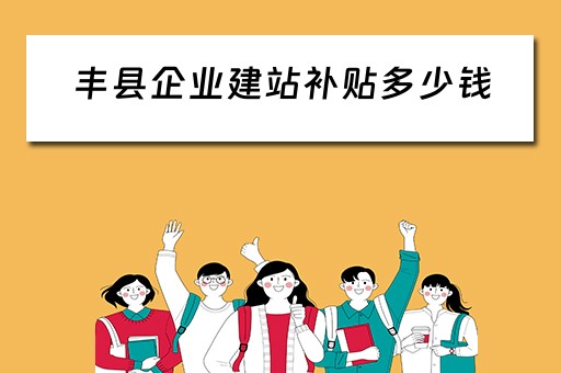 丰县企业建站补贴多少钱（建厂政府补贴项目）