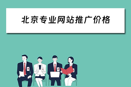 北京专业网站推广价格 