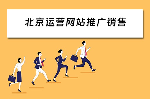 北京运营网站推广销售 