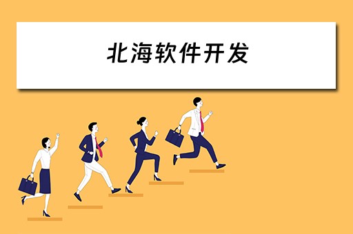 北海软件开发（北海软件开发公司）