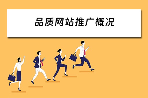 品质网站推广概况 品质网站推广概况怎么写