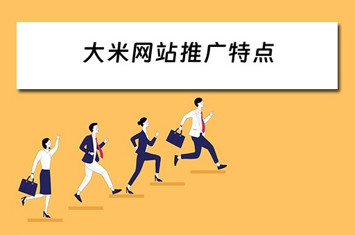 大米网站推广特点 大米的网络营销方案