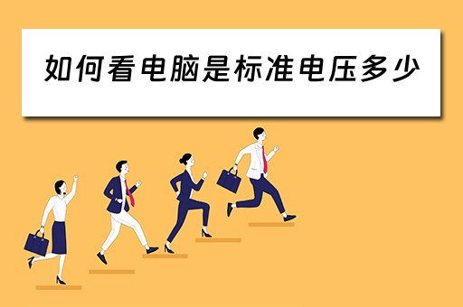如何看电脑是标准电压多少