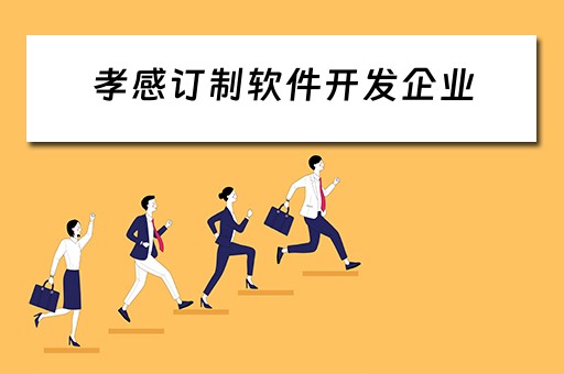 孝感订制软件开发企业（孝感订制软件开发企业有哪些）