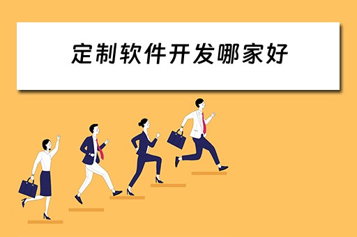 定制软件开发哪家好（定制软件开发哪家好一点）