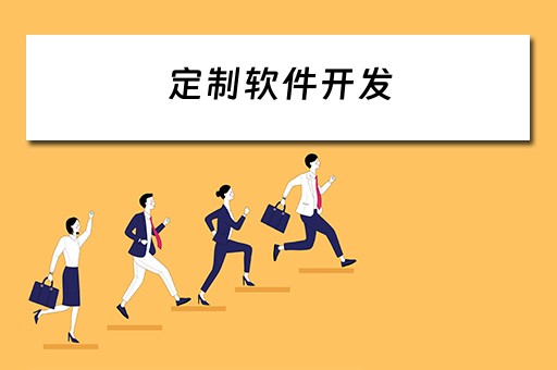 定制软件开发（企云云软件开发定制软件开发）