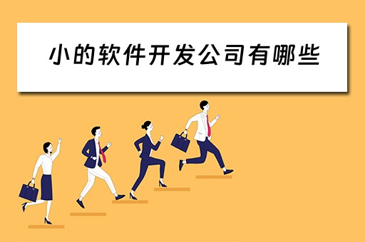 小的软件开发公司有哪些（小的软件开发公司有哪些公司）