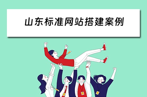 山东标准网站搭建案例（山东网站建设的方案）
