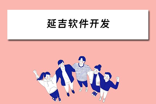 延吉软件开发 延吉软件开发公司