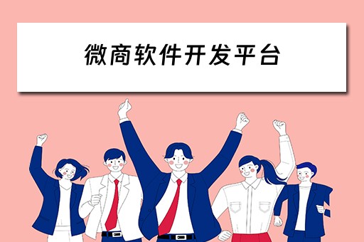 微商软件开发平台（微商软件开发平台有哪些）