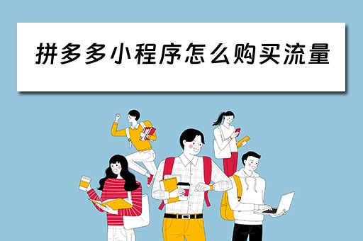 拼多多小程序怎么购买流量（拼多多小程序怎么购买流量的）