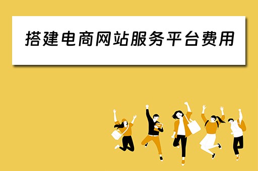 搭建电商网站服务平台费用（搭建一个电商平台需要多少钱）