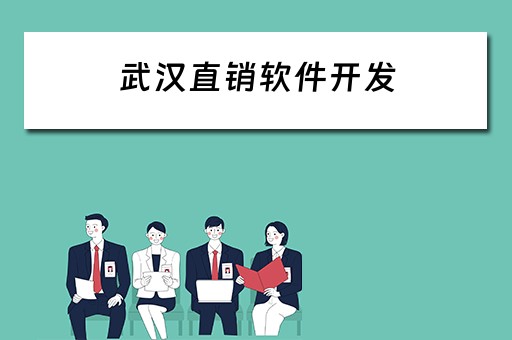 武汉直销软件开发（武汉直销软件开发公司）