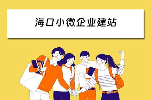 海口小微企业建站（海口小微企业建站补贴政策）