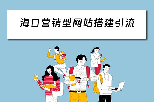 海口营销型网站搭建引流（海口网站建设网络推广）