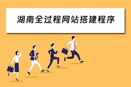 湖南全过程网站搭建程序（湖南网站建设软件）