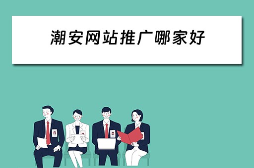 潮安网站推广哪家好 