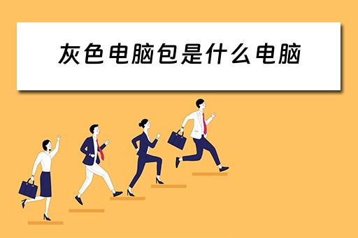 灰色电脑包是什么电脑