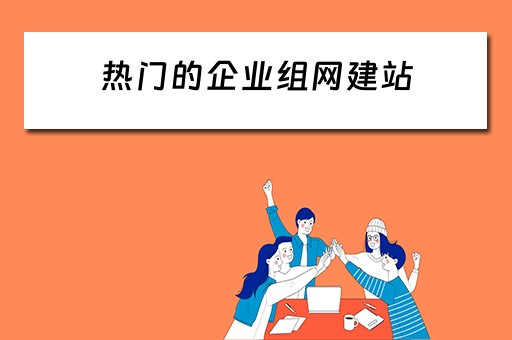 热门的企业组网建站（企业组网是什么意思）