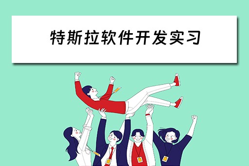 特斯拉软件开发实习（特斯拉 软件开发）