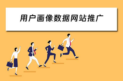 用户画像数据网站推广 