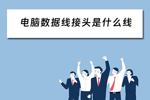 电脑数据线接头是什么线
