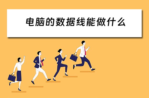 电脑的数据线能做什么 电脑的数据线能做什么