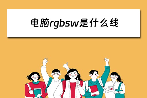 电脑rgbsw是什么线