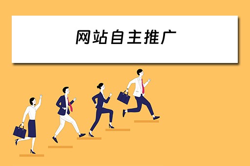 网站自主推广 网站自主推广怎么做