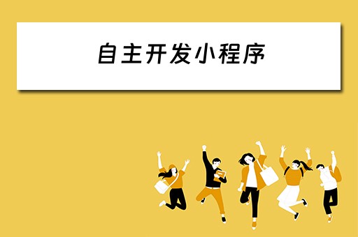 自主开发小程序（自主开发小程序需要什么东西）