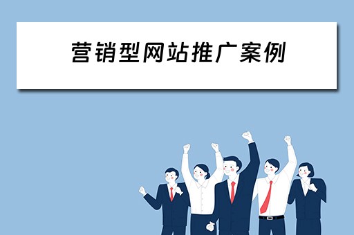营销型网站推广案例 