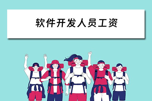 软件开发人员工资 软件开发人员工资标准依据