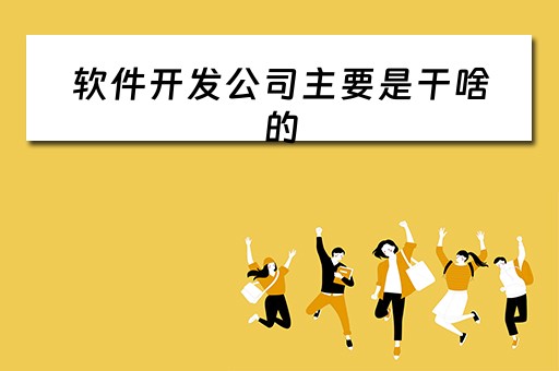 软件开发公司主要是干啥的（软件开发公司是什么）