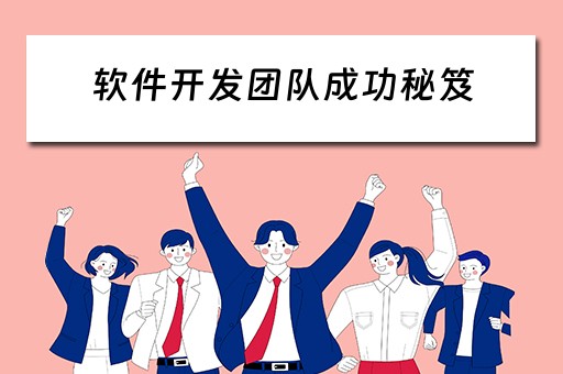 软件开发团队成功秘笈（软件开发团队成功秘笈怎么写）