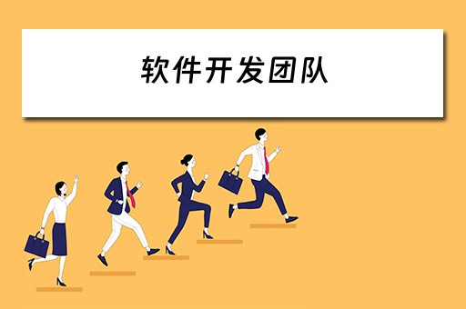 软件开发团队（软件开发团队人员配置）