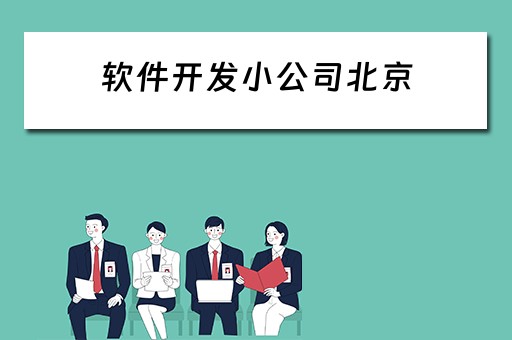 软件开发小公司北京（软件开发公司北京排行）