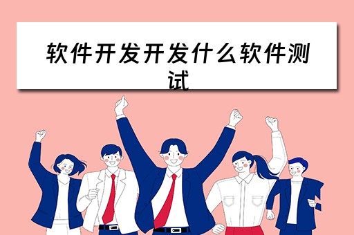 软件开发开发什么软件测试 软件开发开发什么软件测试好