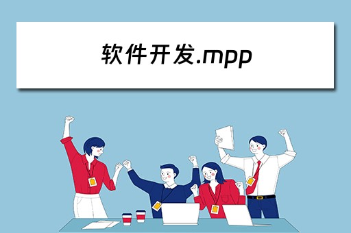 软件开发.mpp 软件开发公司