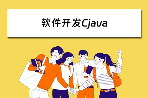 软件开发Cjava 软件开发公司