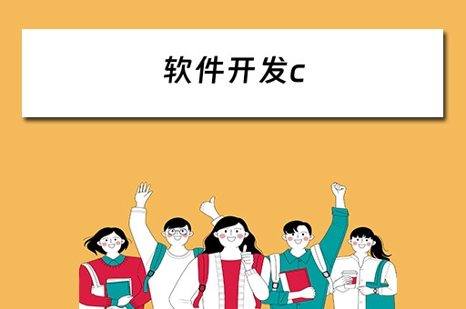 软件开发c（软件开发成本估算）