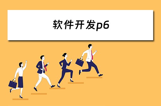 软件开发p6 软件开发p6是什么意思