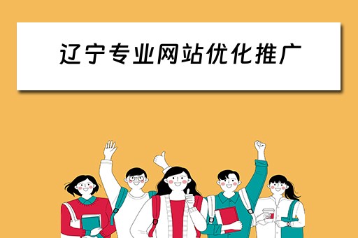 辽宁专业网站优化推广 辽宁seo网站优化