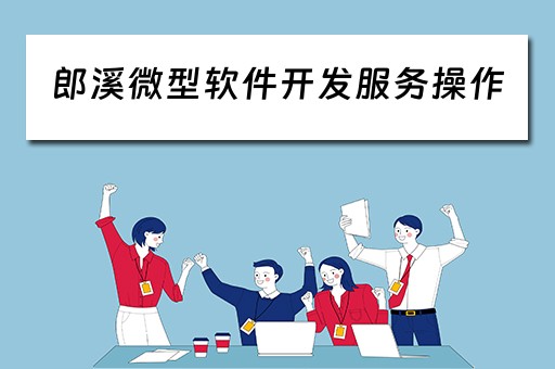 郎溪微型软件开发服务操作（小微企业软件开发税率）
