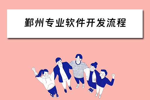 鄞州专业软件开发流程（鄞州专业软件开发流程公司）