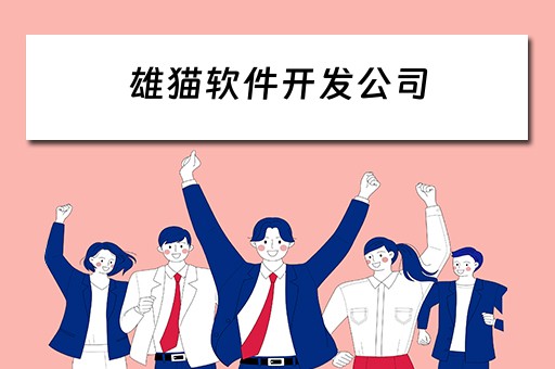 雄猫软件开发公司（雄猫软件开发公司怎么样）