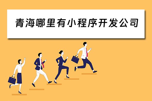 青海哪里有小程序开发公司（青海哪里有小程序开发公司啊）
